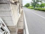 緑豊かな街路樹が心地よい風を運び、穏やかな時間が流れる落ち着いた住環境です。