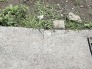 自然の息吹が足元に感じられる、素朴で飾り気のないありのままの風景が広がっています。