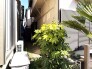 緑豊かな植物が映える、静かな住まい。