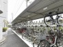 整然と並ぶ自転車たちが、日々の暮らしを支える安心感を生み出します。