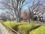 自然豊かな諏訪木西公園 400m