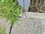 敷地境界を明確に示すことで、将来にわたり安心して暮らせる確かな住まいの基盤を丁寧に管理しています。