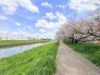 春には近くを流れる綾瀬川の桜並木が圧巻です。 100m