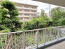 窓の外に豊かな緑が広がり、四季の移ろいを身近に感じられる穏やかな時間が流れる住環境です。