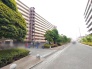 手入れの行き届いた植栽が並び、街並みに落ち着いた表情を添える心地よい住環境です。