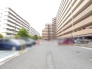 敷地内の駐車場。