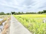 日常の喧騒から少し離れて、四季の移ろいを肌で感じられるのどかな風景が心に安らぎをもたらします。
