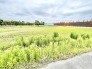 空を広く感じられる開放的な環境で、四季の移ろいを静かに楽しめる穏やかな場所です。