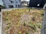 周囲の環境に溶け込み、新たな暮らしの可能性を静かに広げる落ち着きのある敷地です。