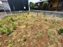 これからの暮らしに思いを巡らせる、伸びやかな広がりを感じさせる敷地です。