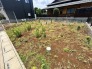 開放感のある敷地は、これからの暮らしの可能性を大きく広げてくれる伸びやかな空間です。