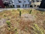周辺環境に溶け込み、これからの暮らしの可能性を静かに語りかけてくる広々とした空間です。