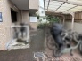 住まいの日常を支える機能的な空間として、日々の暮らしに寄り添う落ち着いた外観の共用エリアです。