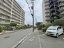閑静な住宅街の並木道が続き、落ち着いた日常を感じさせる穏やかな街並みが広がっています。