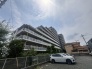 青い空との対比が美しく、周囲の環境に溶け込みながら静かに佇む端正な外観デザイン。
