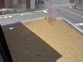 これからの暮らしの可能性が広がる、整えられた敷地の静かな佇まい。