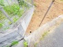 これからの暮らしを自由に描き出せる、すっきりと整えられた穏やかな敷地です。