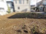 穏やかな空気が流れる開放的な敷地は新しい物語のはじまりにふさわしい空間です