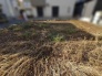 開放感のある空間にこれからの暮らしを描く穏やかな更地です