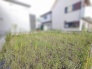 周囲の建物と程よい距離感を保ちながら開放的な空気が広がる敷地です