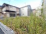 穏やかな空気が流れる開放的な敷地で、心地よい暮らしの構想が広がります。