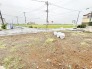 遮るもののない広々とした空が広がり穏やかな風を感じる心地よいロケーション
