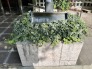エントランス(外)