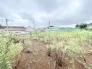 開放的な空が広がり、心地よい風と穏やかな時間が流れる敷地です。