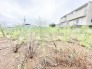 心地よい開放感が広がる、これからの暮らしを描くためのゆとりある更地です。