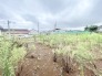 開放的な空が広がり、心地よい風と穏やかな時間が流れる穏やかな敷地です。