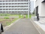 すっきりと整えられたアプローチが心地よい開放感をもたらす穏やかな佇まいです