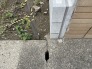 建物まわりの足元に丁寧な施工が施された、落ち着きを感じさせる外構風景。