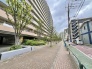 緑豊かな街路樹が整備された、穏やかな日常を紡ぎ出す心地よいアプローチ。