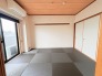 和の伝統と現代的な色合いが調和する落ち着きのある空間