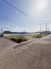 2号地  2026/04/20m