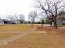 その他現地
