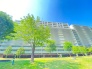 その他現地
