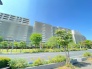 その他現地
