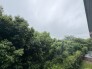 住戸からの眺望
