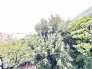 住戸からの眺望
