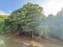 住戸からの眺望
