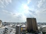住戸からの眺望
