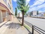 その他現地
