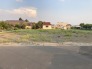 3号地 