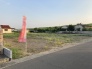 3号地 