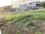 3号地 