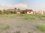 3号地 