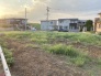 3号地 