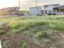 3号地 
