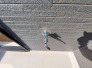 バルコニー水栓
